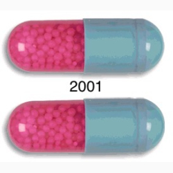 ITRACONAZOLE CAP 100 MG 25x4 UNITS ITRA MACROPHAR