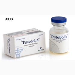 TESTOSTERONE ENANTHATE 250 MG 10 CC VIAL 1 UNITS TESTOBOLIN ALPHA PHARMA