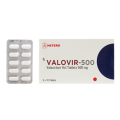 VALACICLOVIR FC TB 500 MG 50 UNITS VALOVIR 500 OSOTH INTERLAB