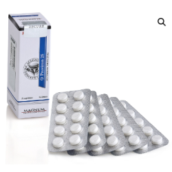 MESTEROLONE TAB 25 MG 50 UNITS PROVIRON 25 MAGNUM